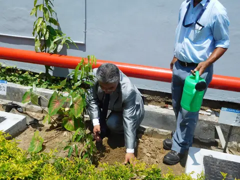PLANTING TREE IN CONNECTION  OF THE EVENT