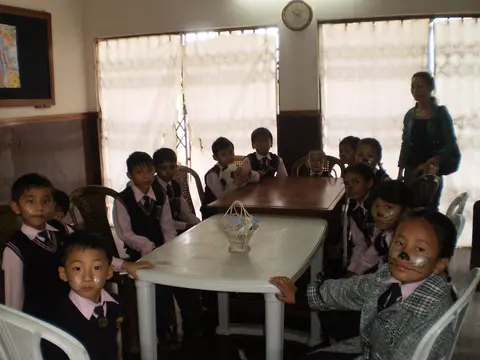 KITTENS HAVING A BREAK 