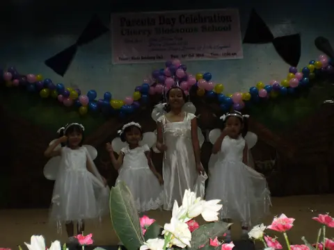 FAIRRIES - FANCY DRESS